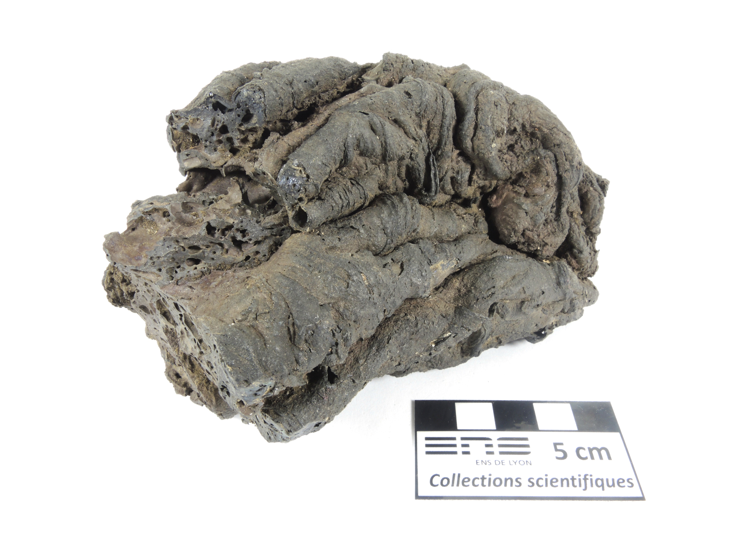 Fragment de lave cordée Basalte Islande Askja  